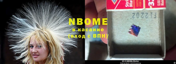 ешки Белокуриха