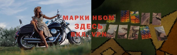 ешки Белокуриха
