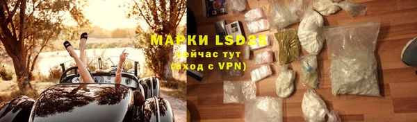 ешки Белокуриха